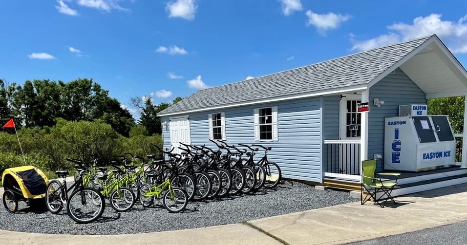Bike Adventure at Assateague Island National Seashore with Assateague Outfitters