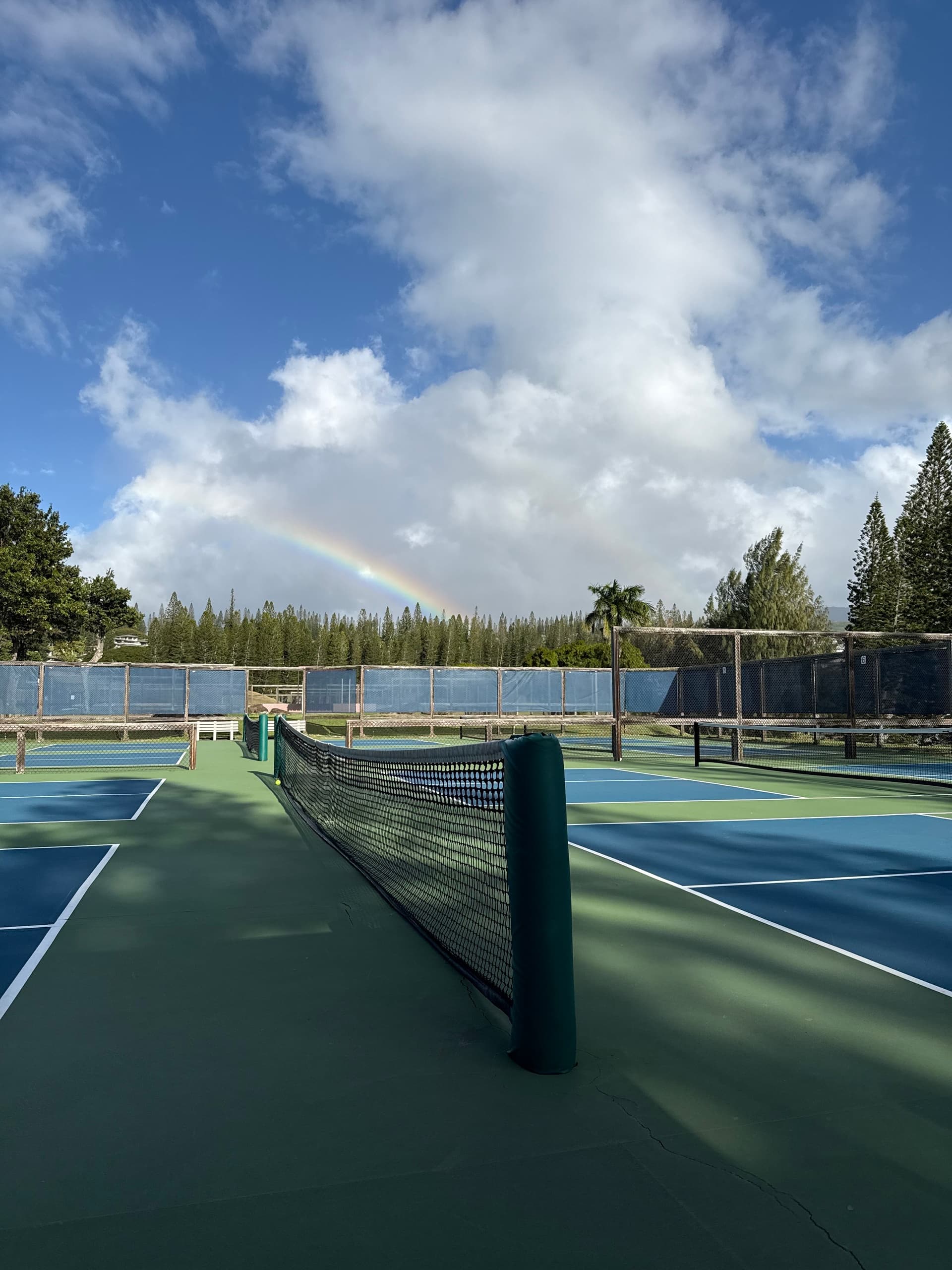 Pickleball Instruction with Skills & Drills at the Ritz
