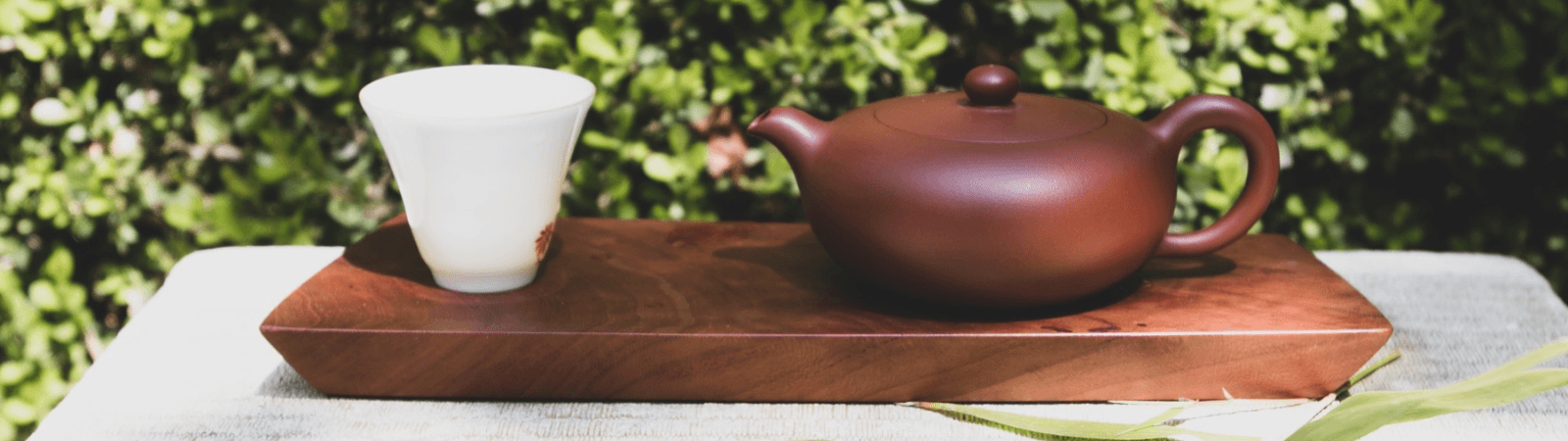 Outdoor tea tasting set on wooden tray in lush garden patio
