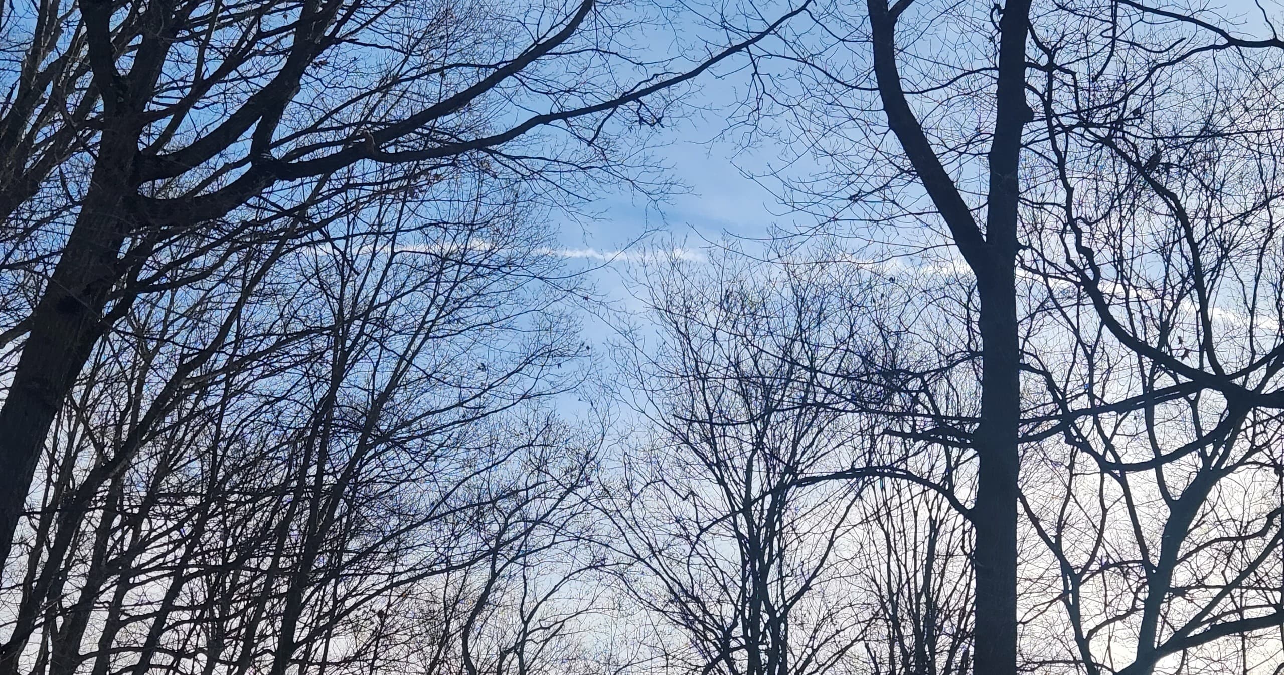 First-Day Family Hike in Riverview Park, Pittsburgh: Gentle Guided Walk for All Ages