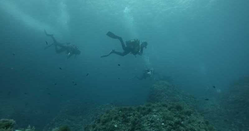 Water Activities with Mardays Dive & Water Experience in Jávea