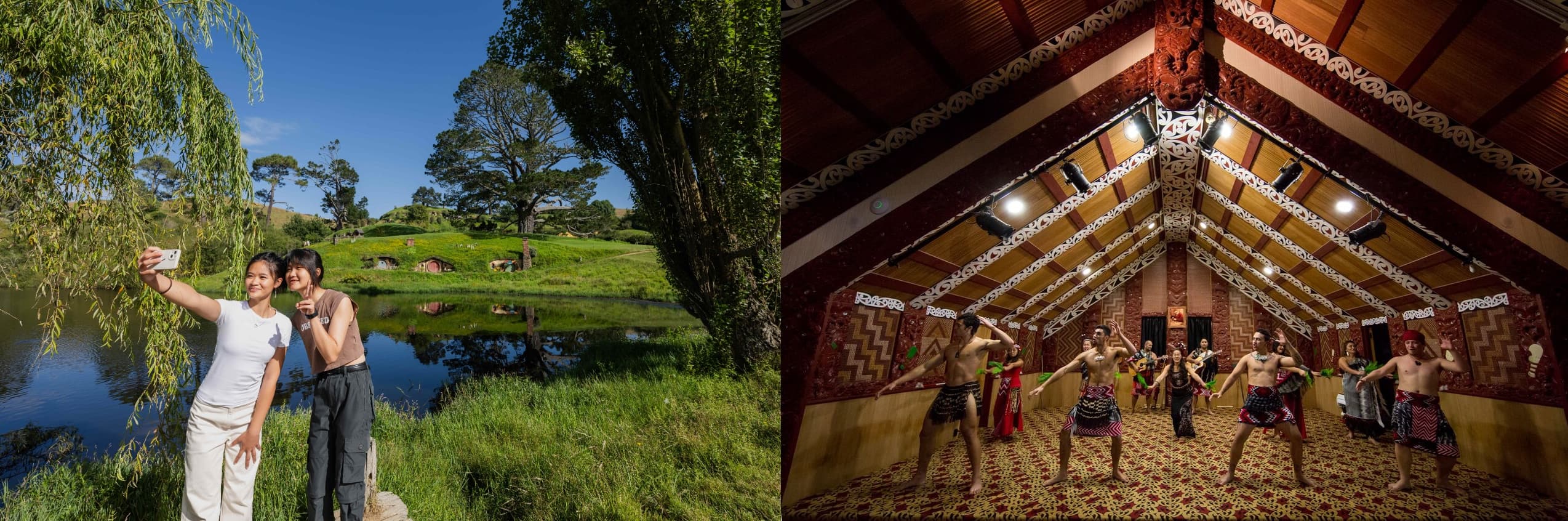 Hobbiton & Te Puia Day Tour by Auckland & Beyond Tours