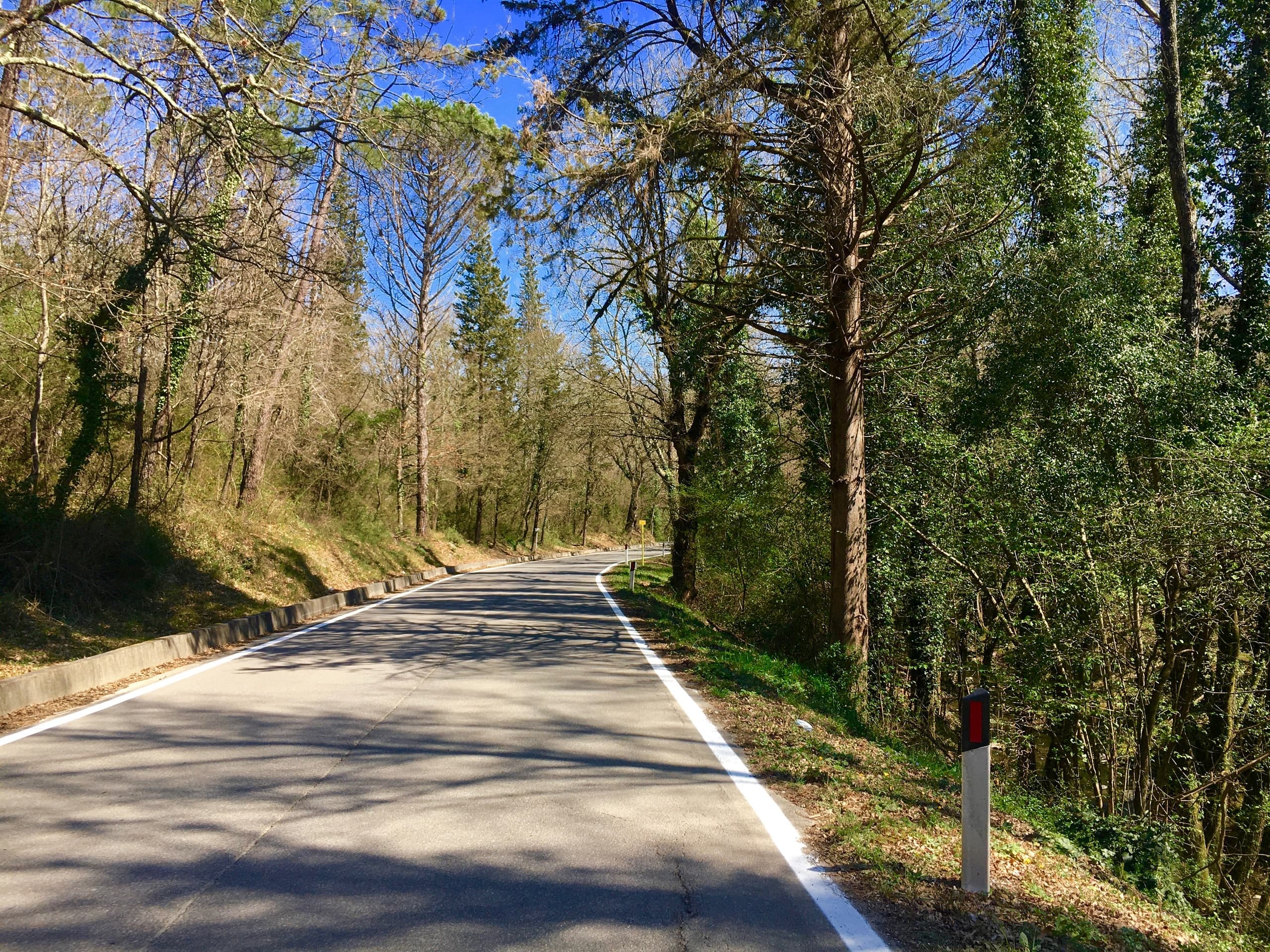 Florence By Bike: 13-Day Rentals for Tuscany Adventures