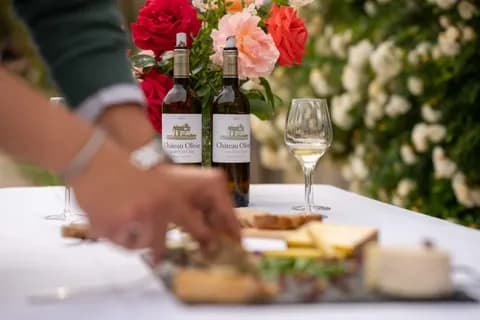 Wine & Cheese Tasting at Château Olivier in Léognan