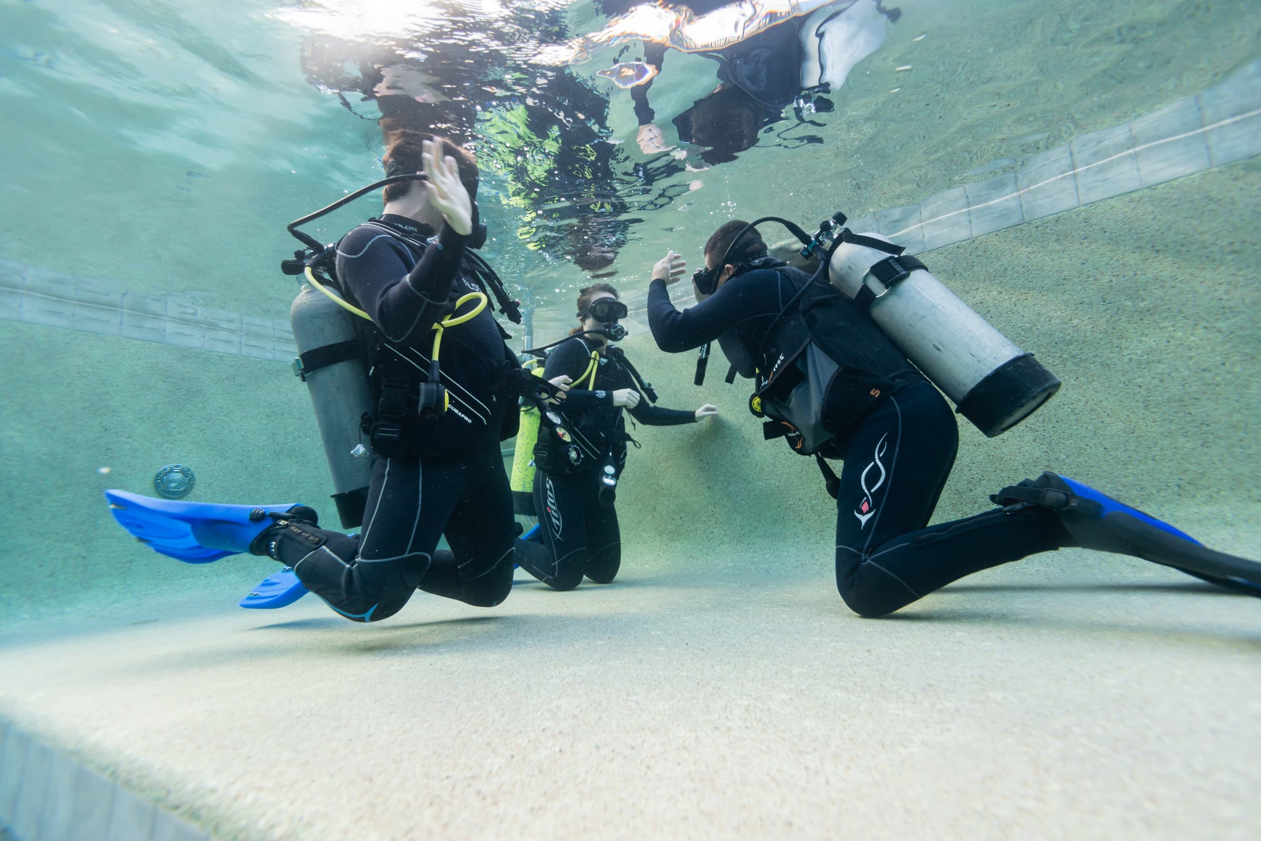 Become a PADI Divemaster in Cabo San Lucas: 3-Week Internship with Nautilus Dive Tech photo 1