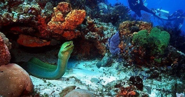 Water Activities & Cozumel Dive by Always Diving & Water Sports