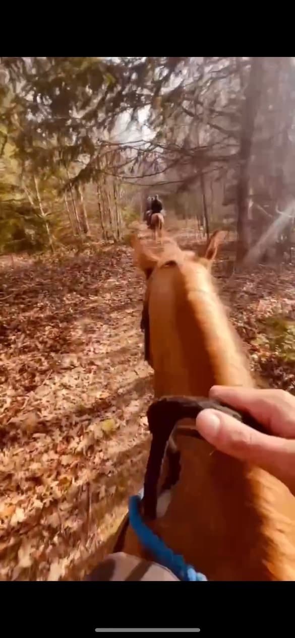 Catskills Trail Ride Adventure with Mountain Brook Farm