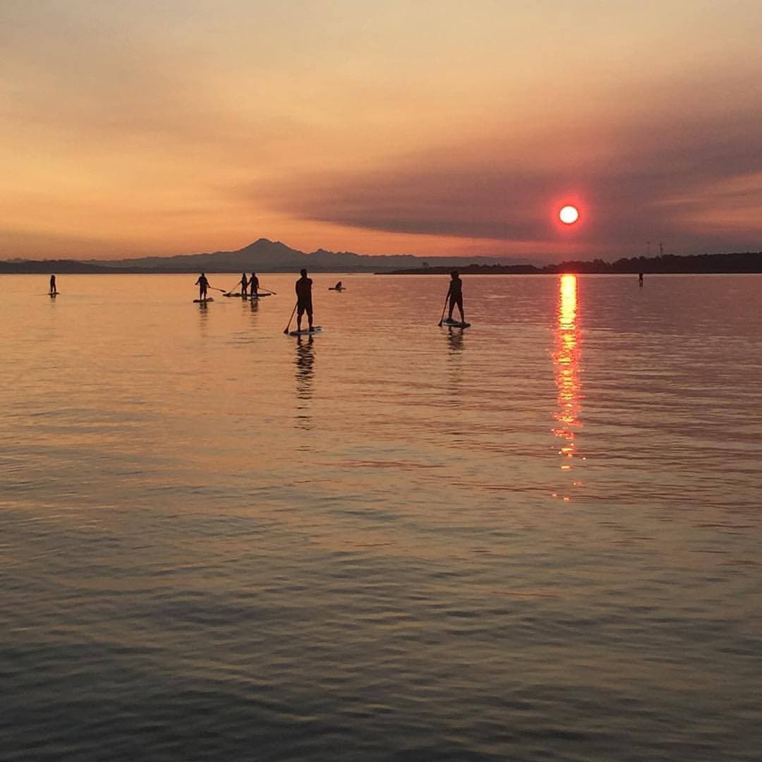 Willows Beach Paddleboard Rental | Wellness in Victoria, British Columbia photo 1