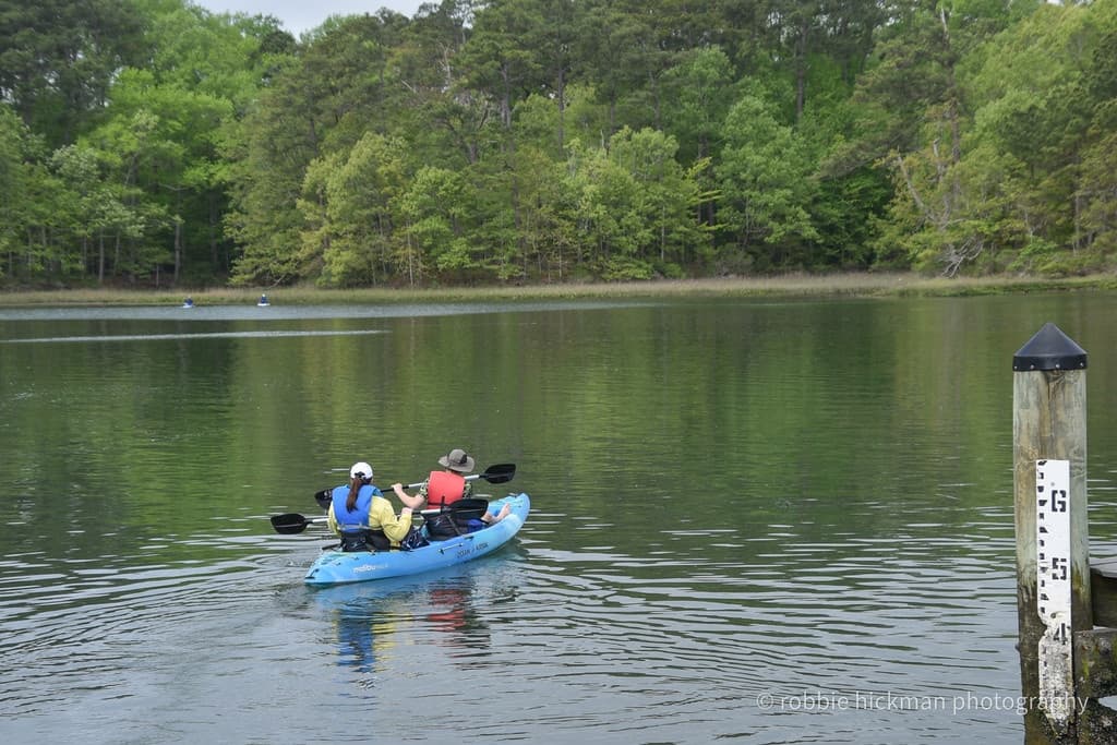 Explore Rudee Inlet: Private Kayak Nature and Dolphin Tour in Virginia Beach