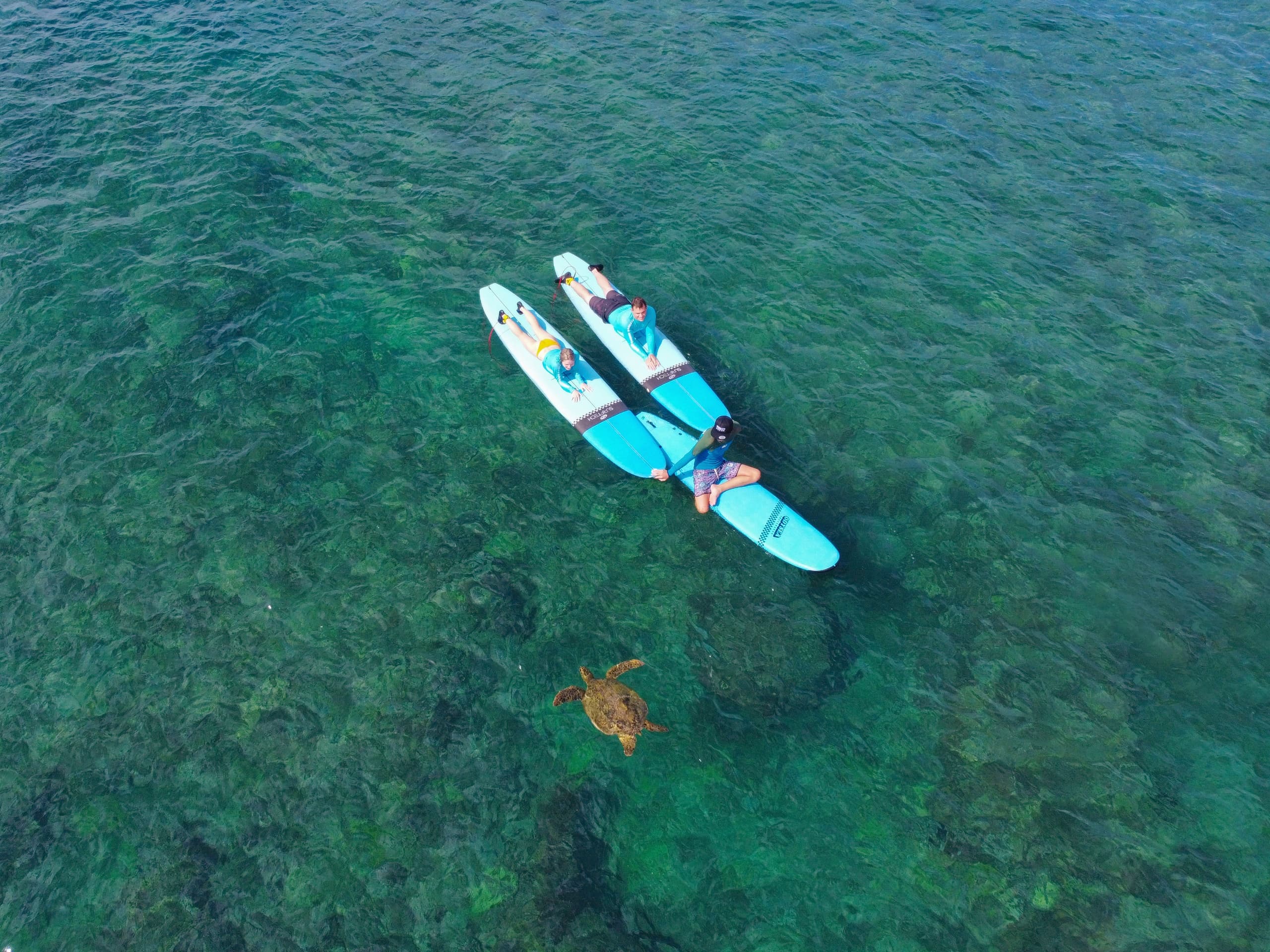 Aerial view of paddleboards and sea turtle over coral reef