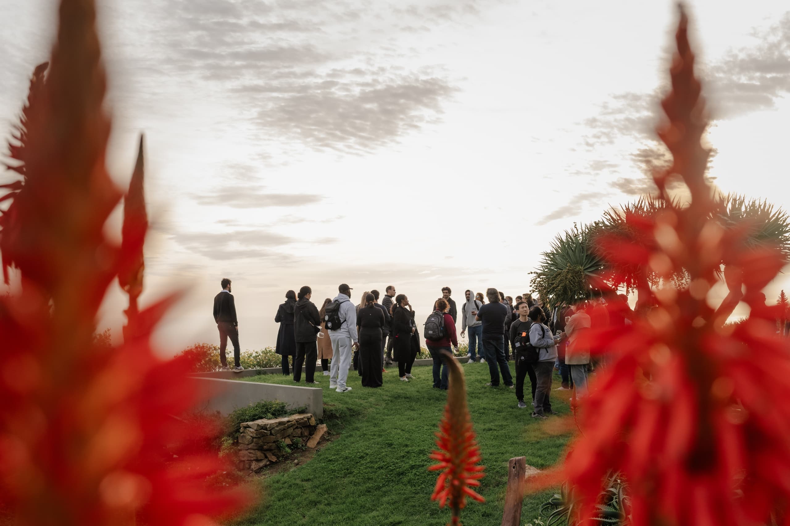 Coastal Terroir of Colares: A One-Hour Vineyard Tasting Near Cabo da Roca photo 2