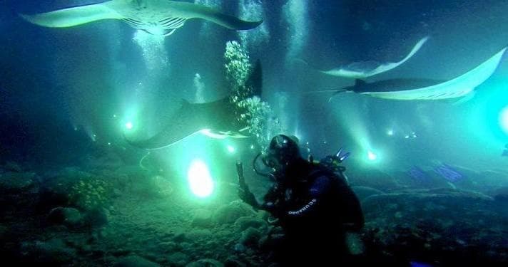 Night Dive Adventures with Always Diving in Cancún