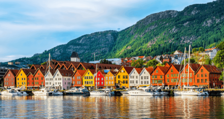 Culinary Adventure: Norwegian Salmon Experience at Kitchen on Fire
