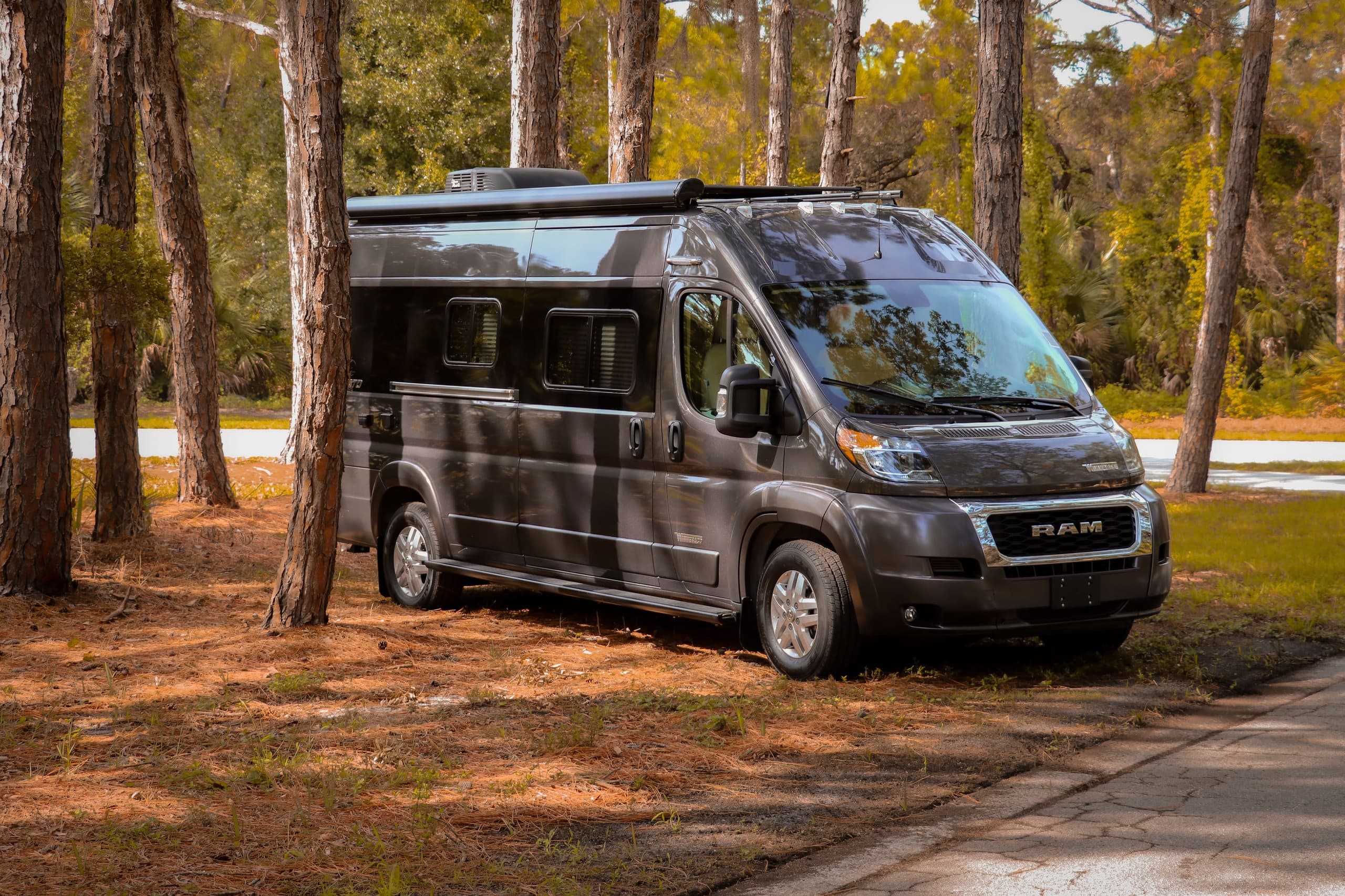 Gray camper van parked at shaded pine campground for cozy camping