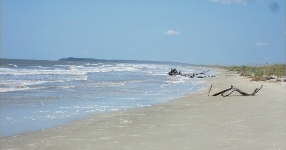Explore Untouched Beaches and Salt Marshes on The Little Tybee Trip