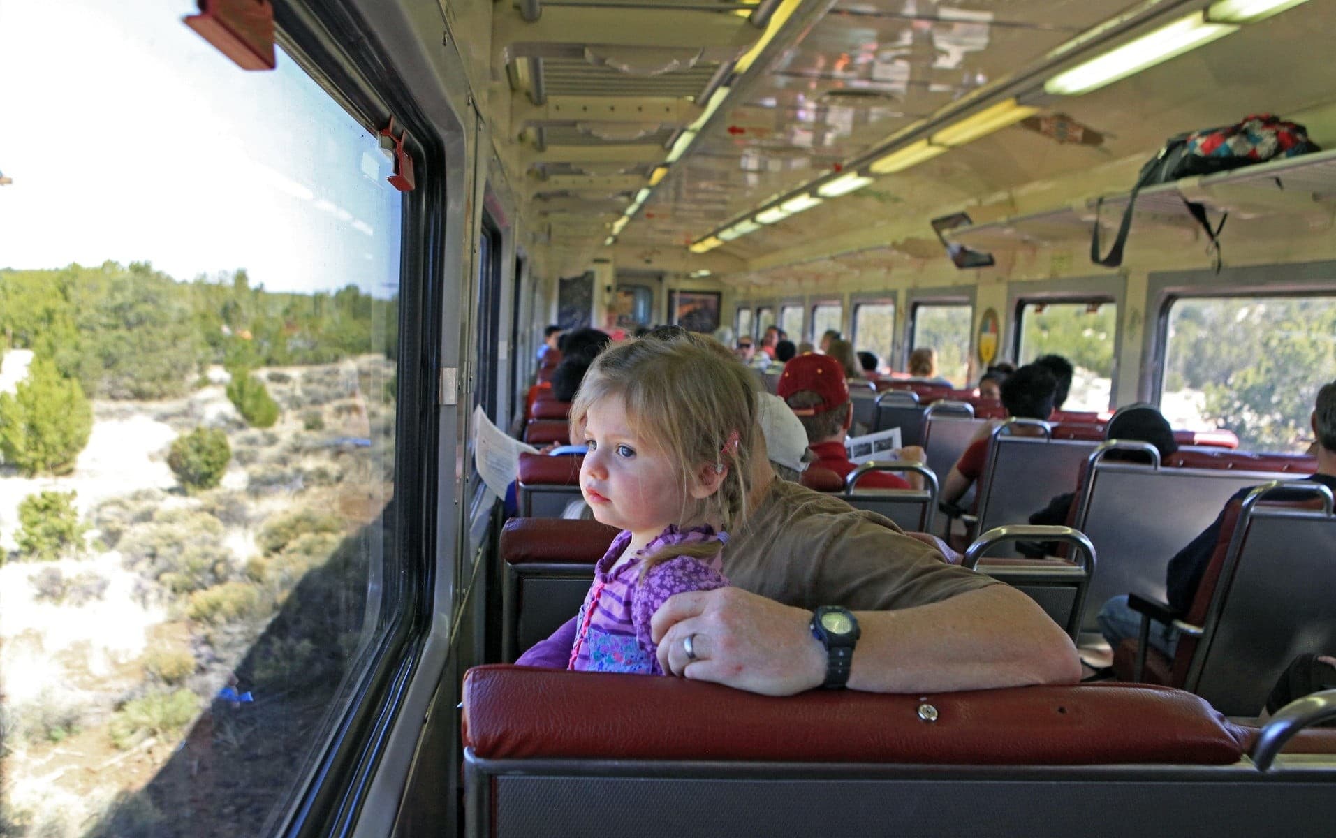 Coach Class Streamliner: Vintage 1950s Train Ride to the Canyon from Williams, AZ photo 3