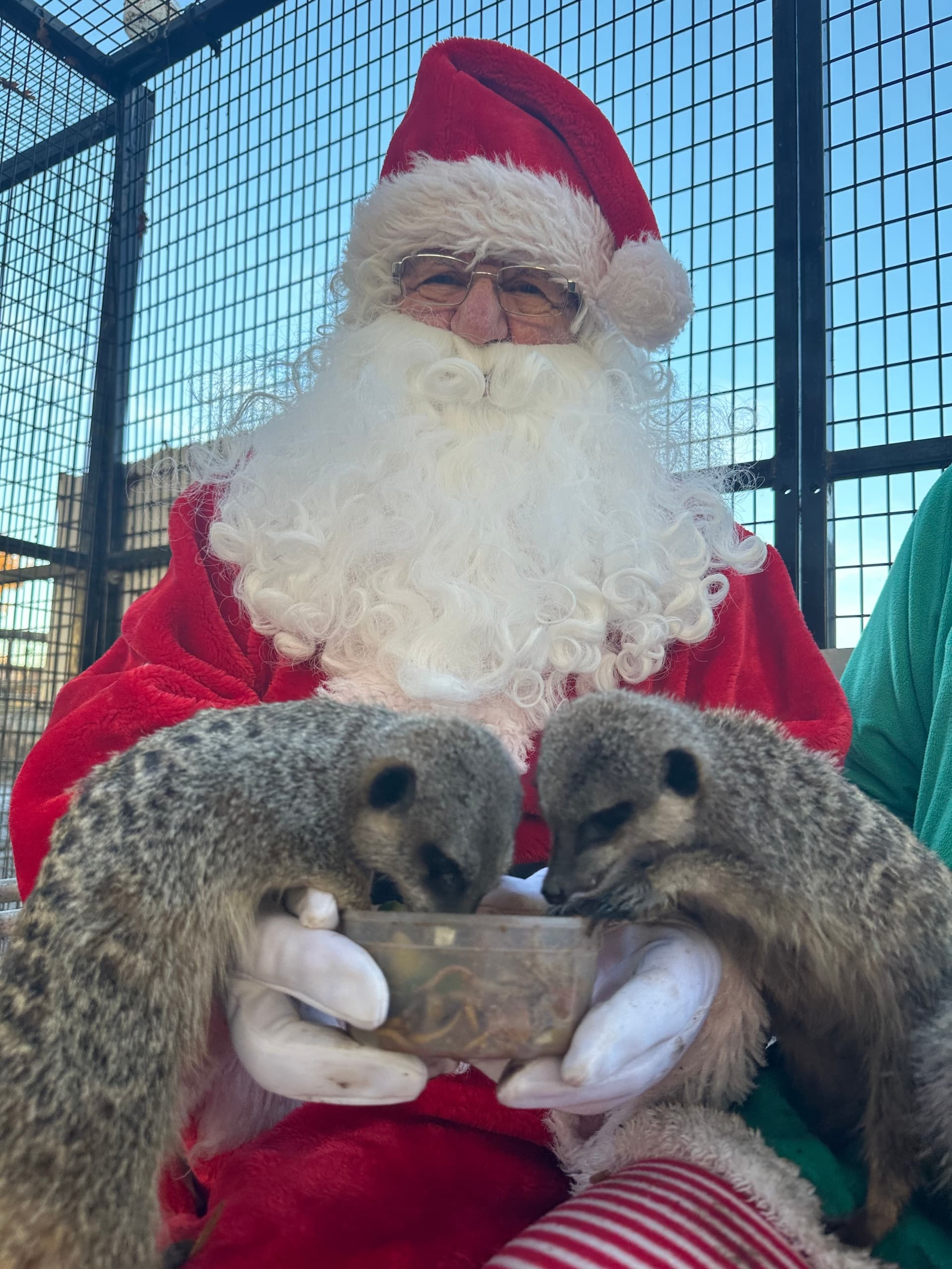 Hurley Holiday Crafts and Santa Meet and Greet at the Farm photo 3
