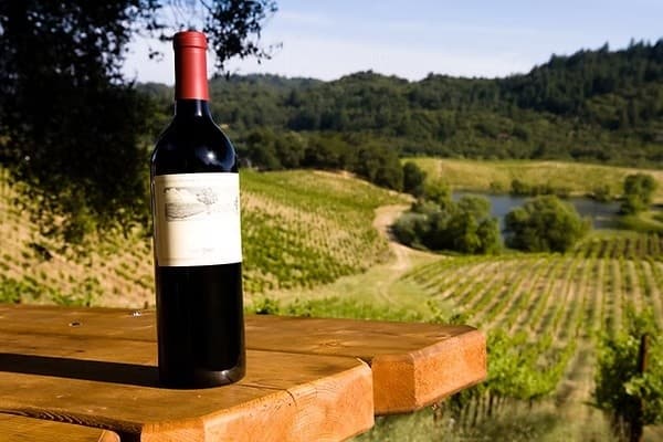 Private Sonoma Wine Tours with Thunderstar Charters: Boutique Tastings & Vineyard Views