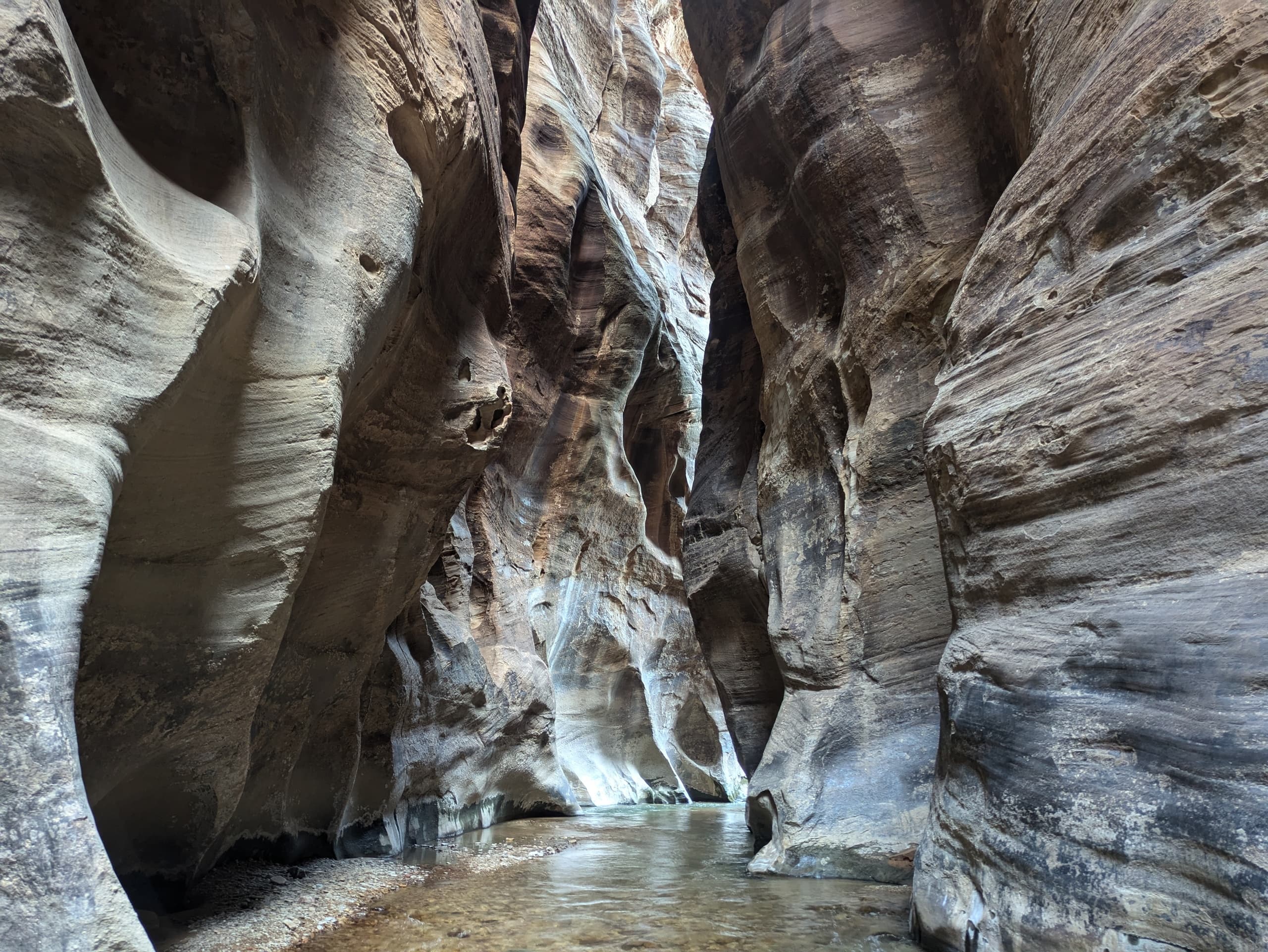 Zion Hiking Adventure at Angels Landing Climb