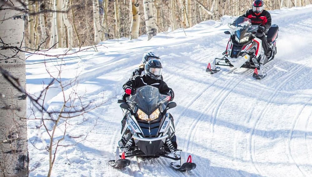 Snowmobilers racing through snowy aspen forest trails