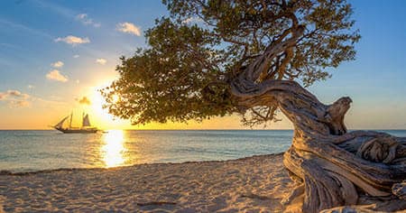 Sail Into Aruba’s Stunning Sunsets on the Jolly Pirate Teak Schooner
