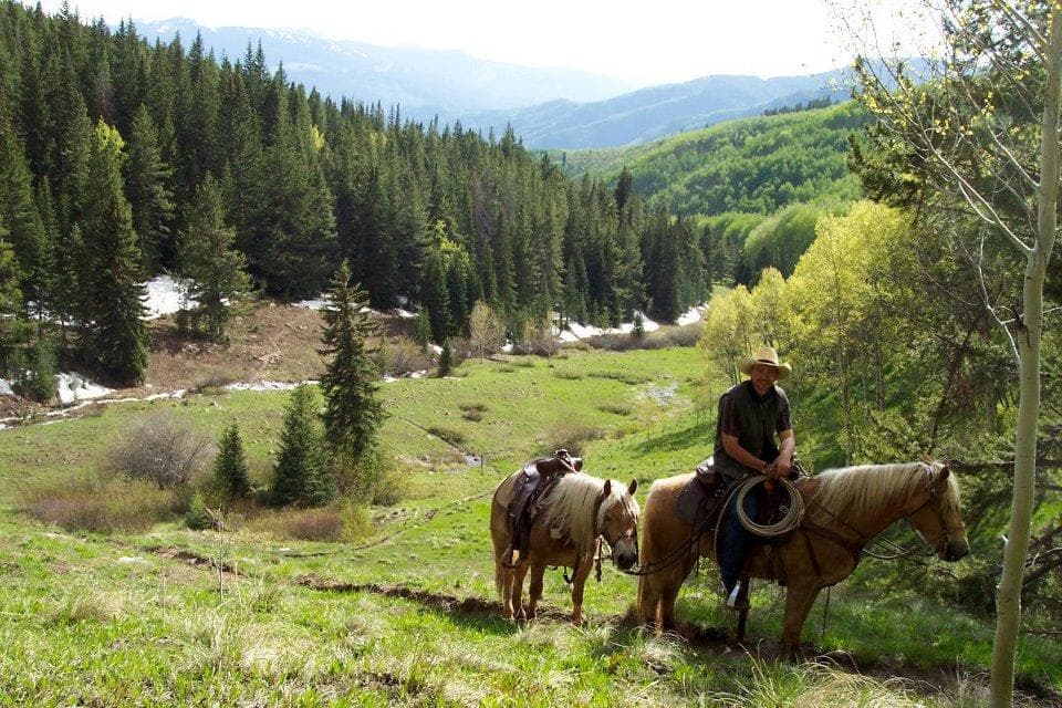 Horseback riding through alpine meadow and forested mountain valley
