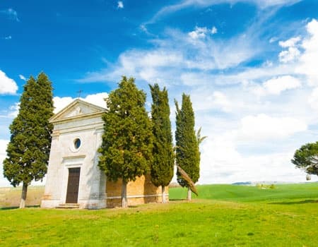 Wine & Cheese Tour in Val d'Orcia with Under The Tuscan Sun