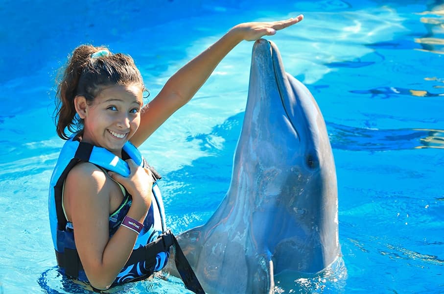 Marine Wildlife & Dolphin Encounter at Vallarta Best Tours