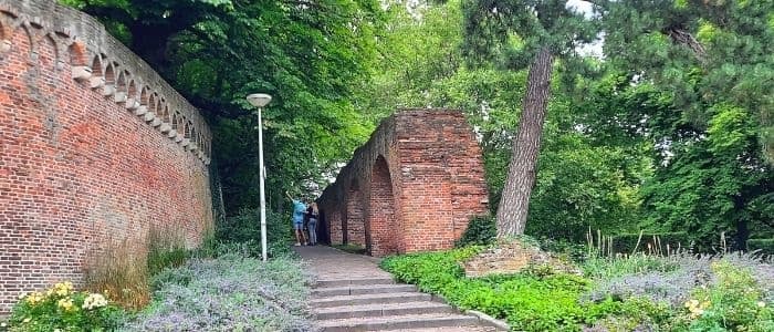 Urban Walking Tour of Nijmegen with Cicerones