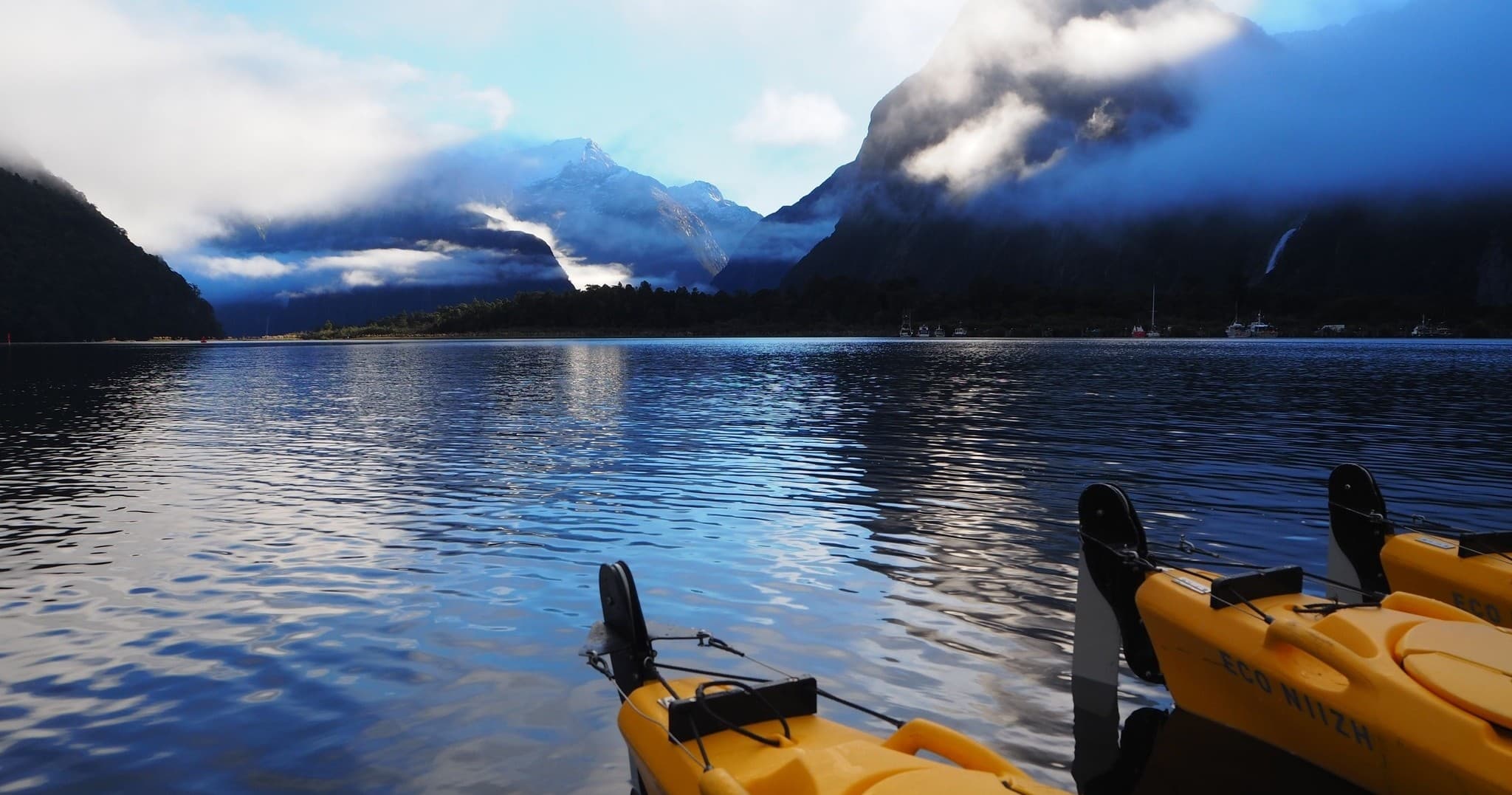 Two kayaks launched on calm Milford Sound water with mountain views