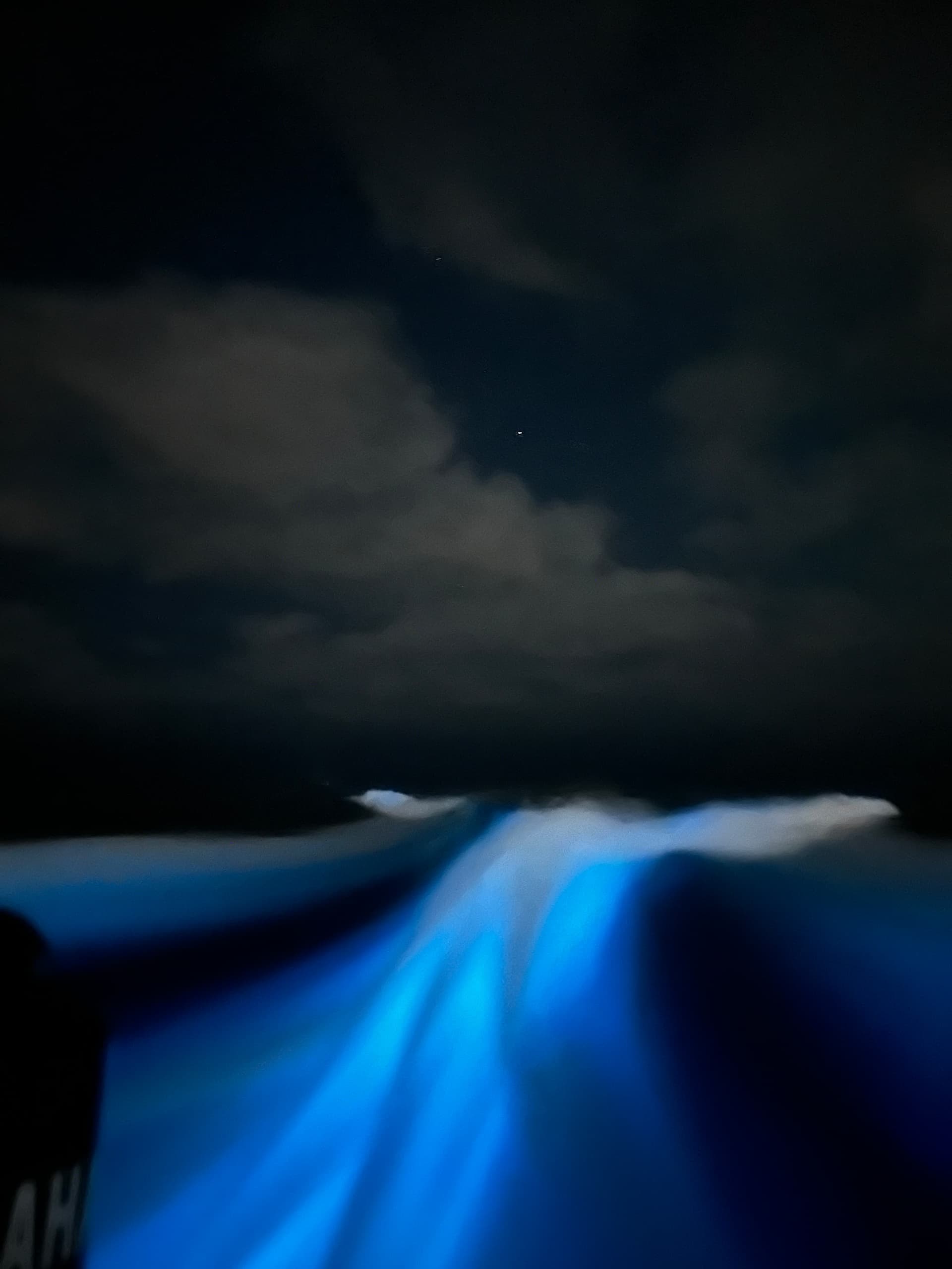 San Diego Bioluminescence Tour: Glow with the Ocean