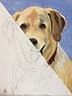 Wildlife/Nature & Art: Paint Your Pet at Cheers Pablo - Woodbury