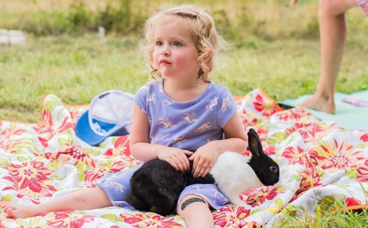 Toddler holding rabbit on picnic blanket in meadow