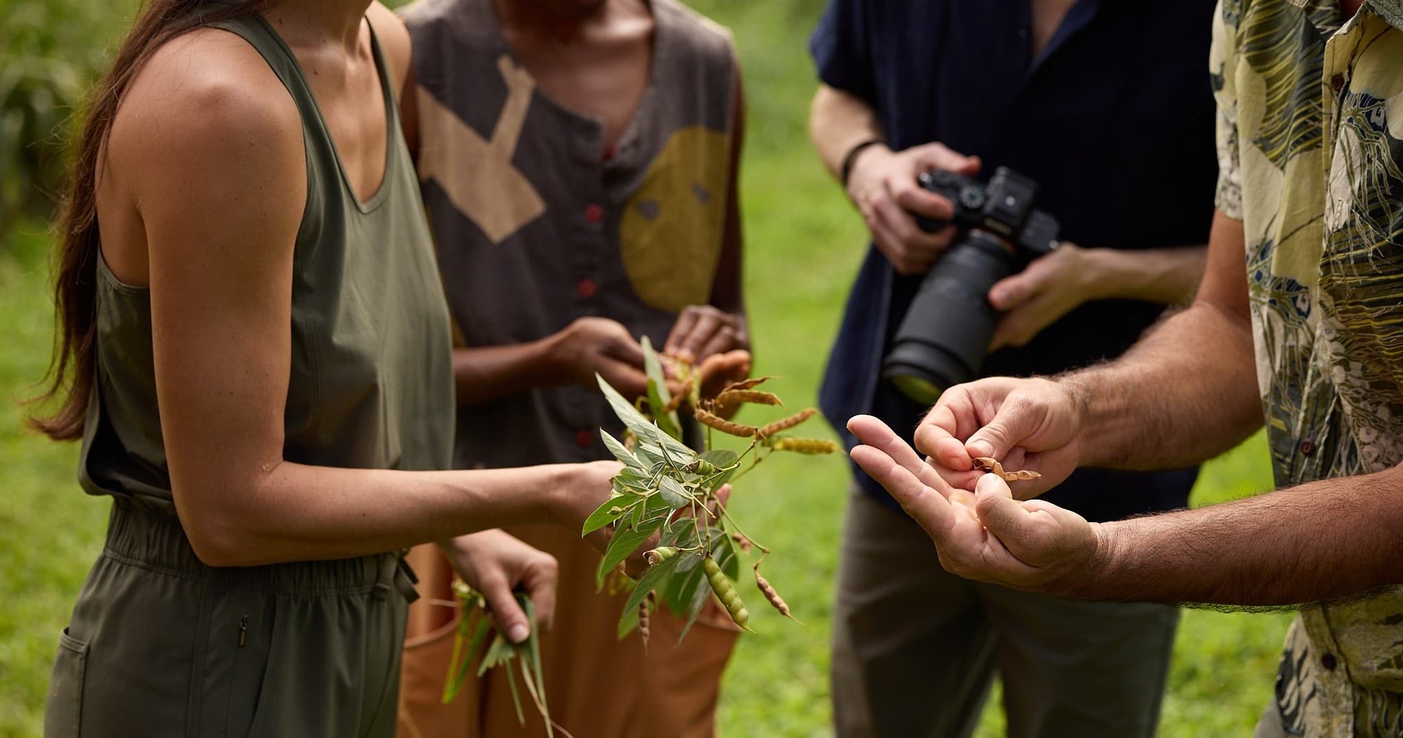 Farm Tour with Awa Ceremony & Pupus — Authentic Hawaiian Farm-to-Table Cultural Experience photo 2