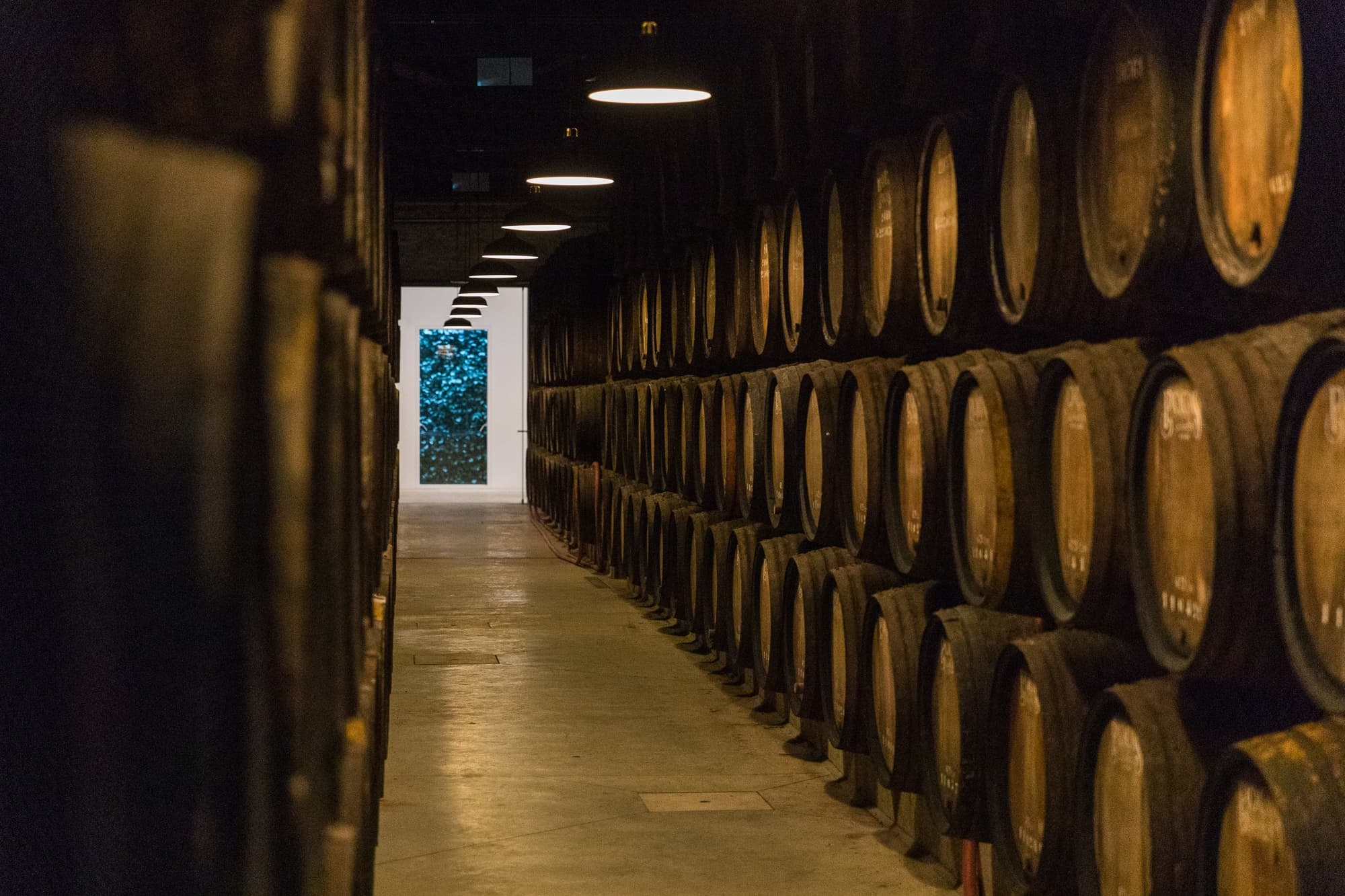 Aging wine barrels lined in historic Port cellar corridor