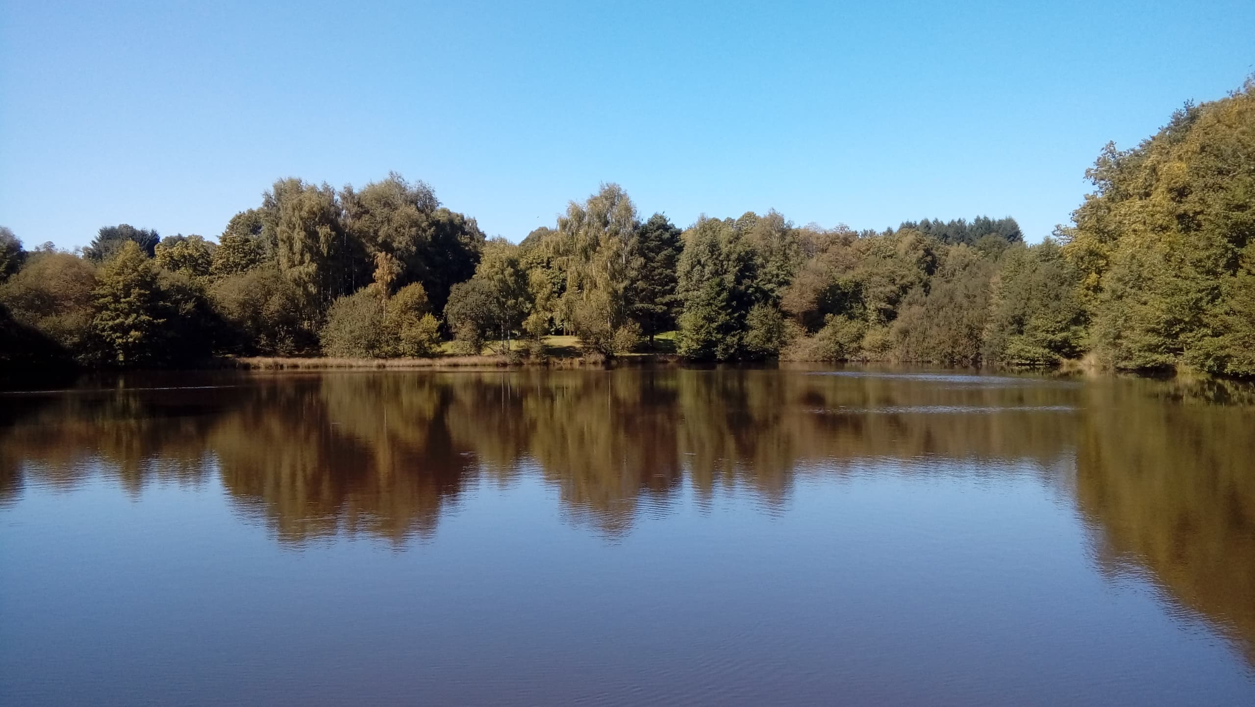 Carp Fishing Adventure at Compton's Lakes in France