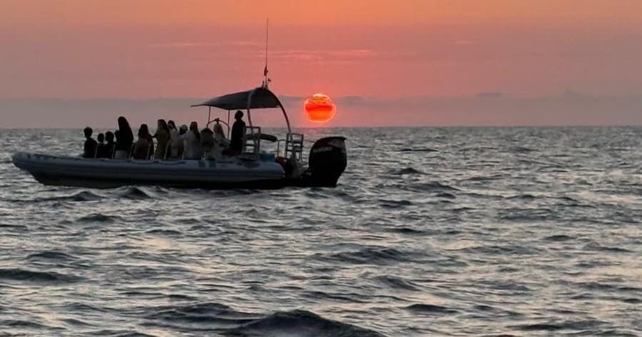 Wild Dolphin Exclusive: Semi-Private Dolphin Watching & Swim at Es Coll Baix, Alcudia photo 1