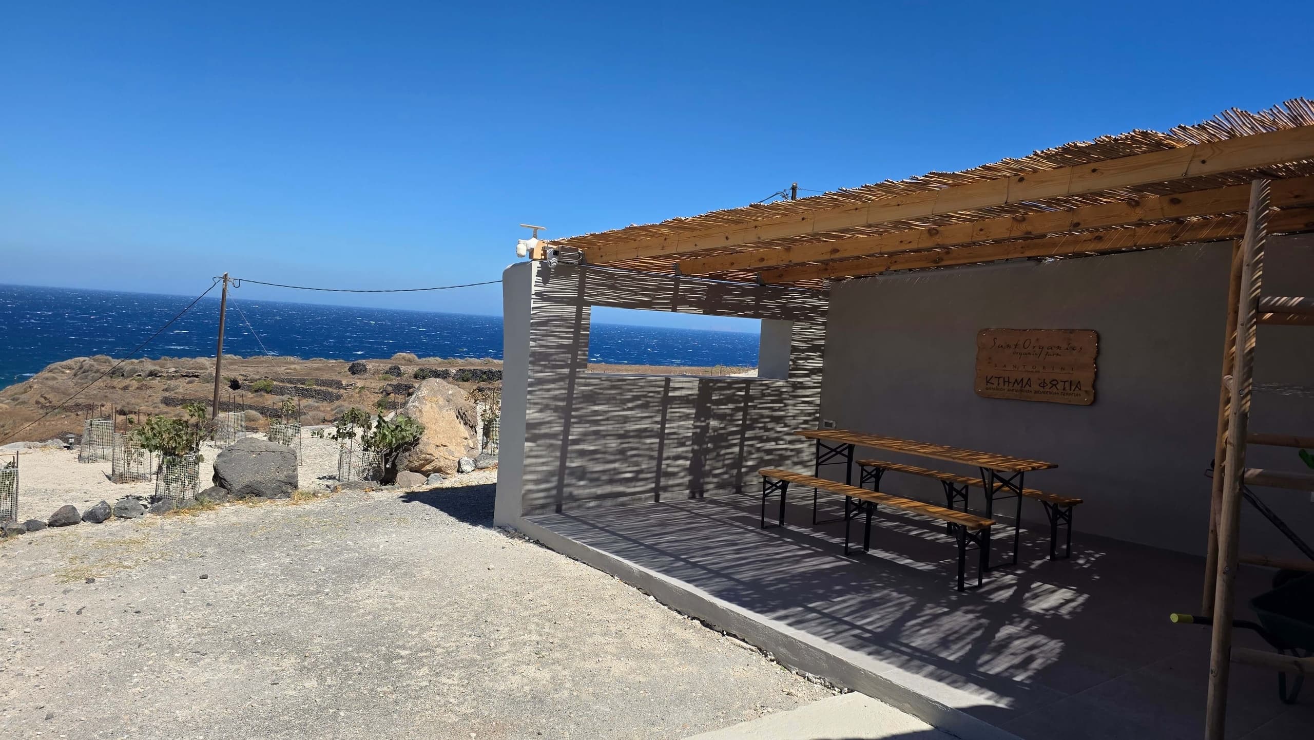 Santorini Picnic & Botanical Cosmetology Workshop at SantOrganics photo 1