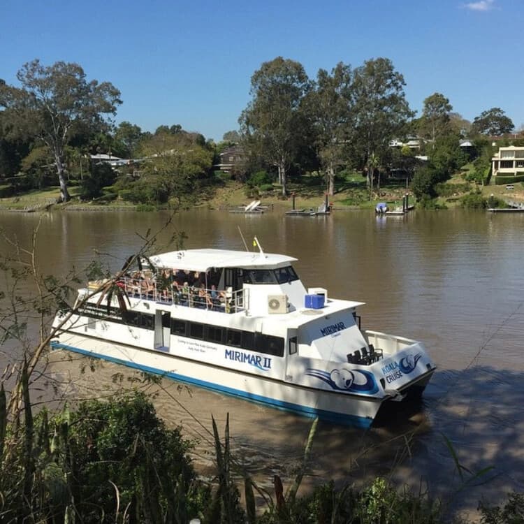 Brisbane River Cruise to Lone Pine: Koalas and Wildlife Day Tour photo 1