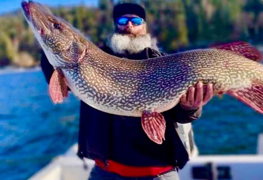 Sight-Fishing Northern Pike on Talbot Lake: Half-Day Guided Trip from Jasper