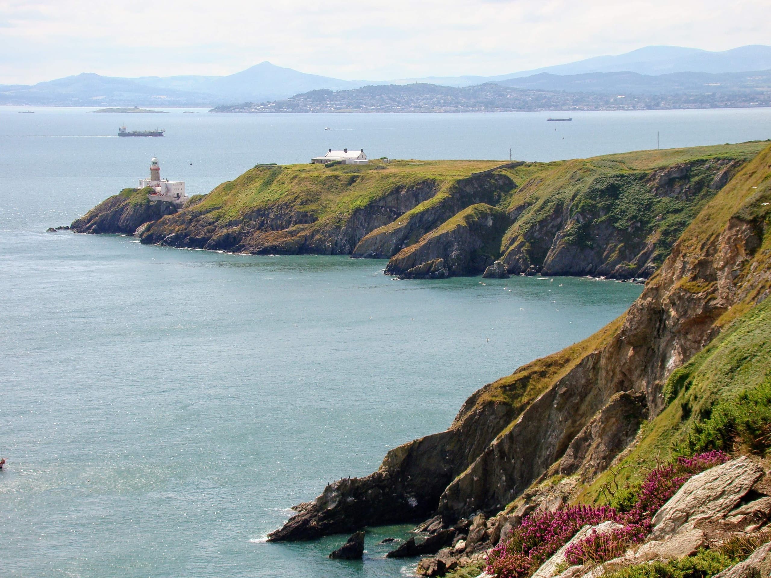 Howth Cliff Path Guided Walk: 90-Minute Coastal Hike from Dublin