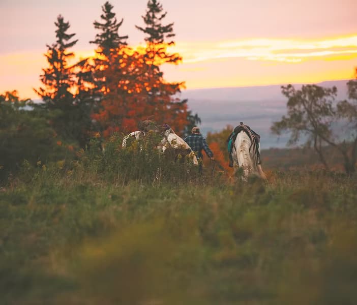 Two-Day Overnight Ride from the Ranch Near Interlaken, New York