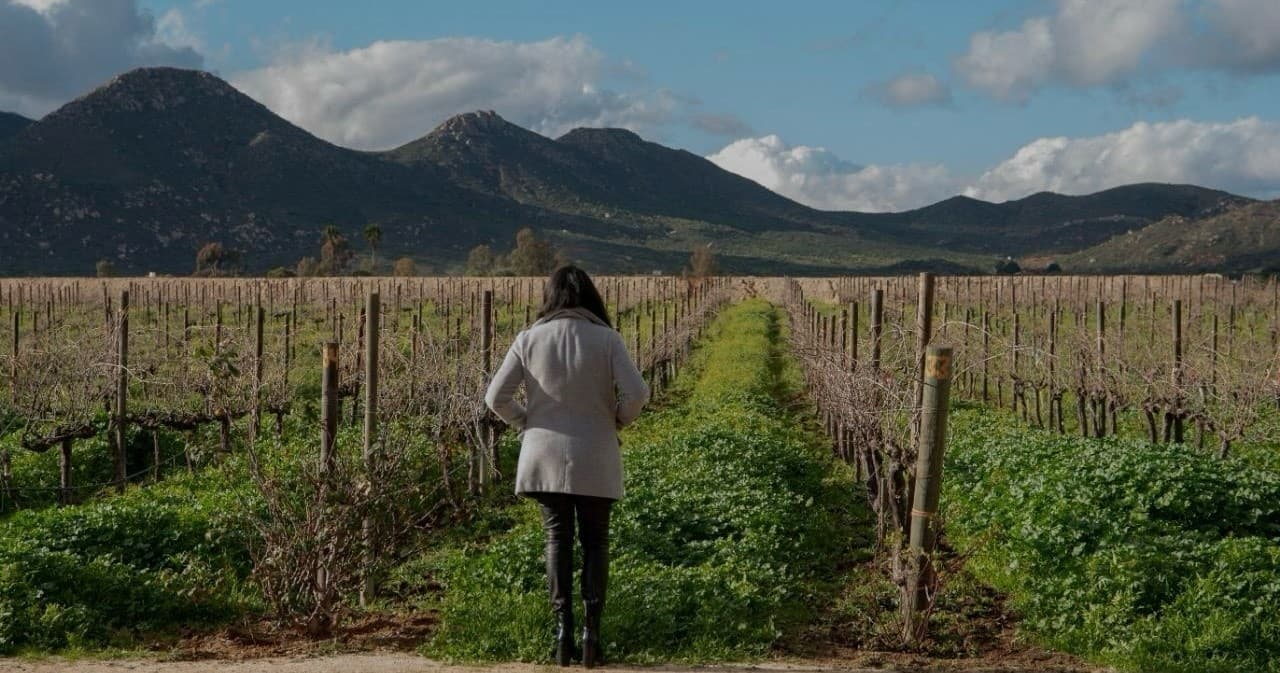 Explore Guadalupe Valley on an Off-Road Motorcycle Wine Tour in Baja