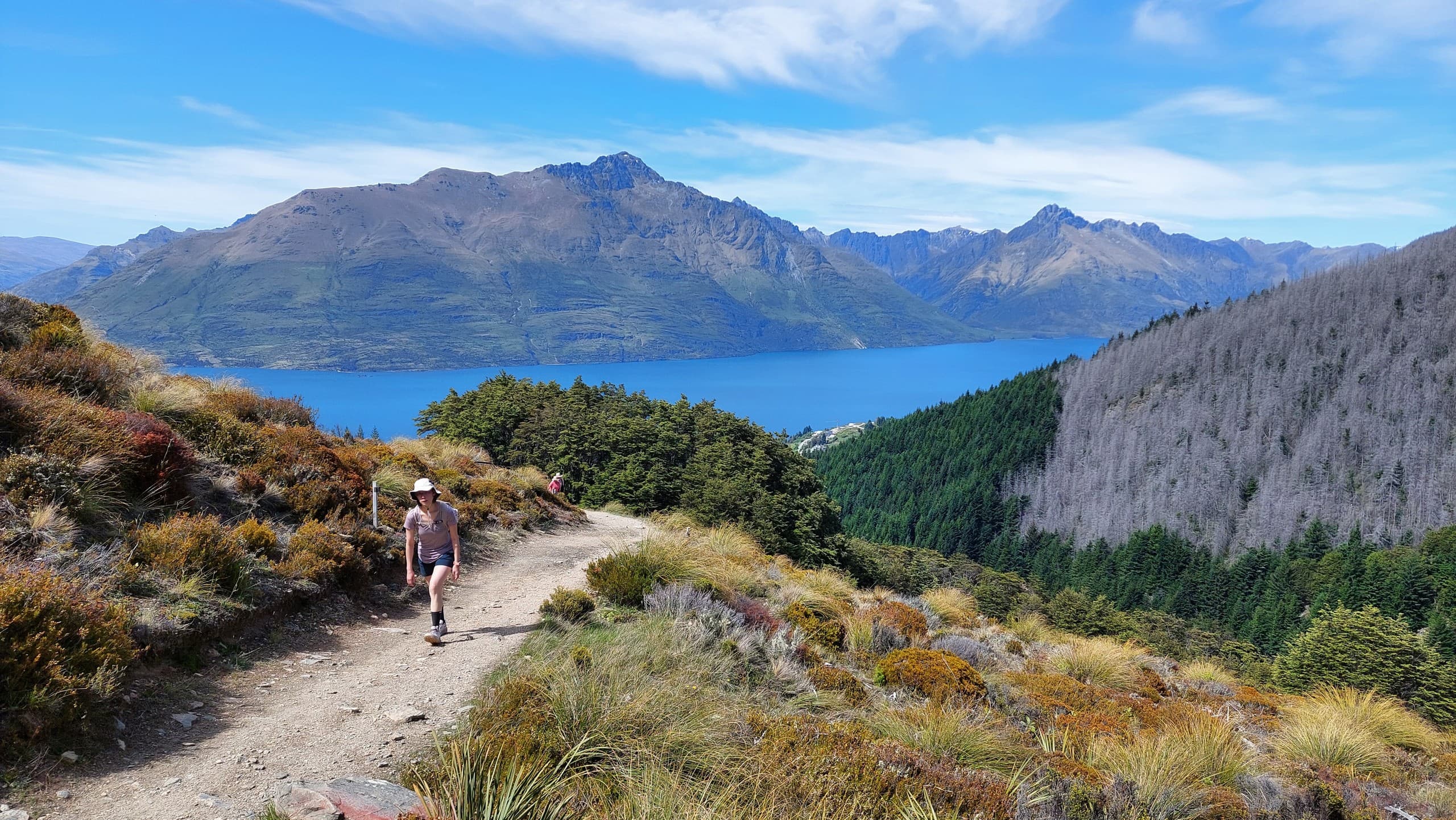 Summit Ben Lomond: Private Day Hike Above Queenstown with Skyline Gondola photo 3
