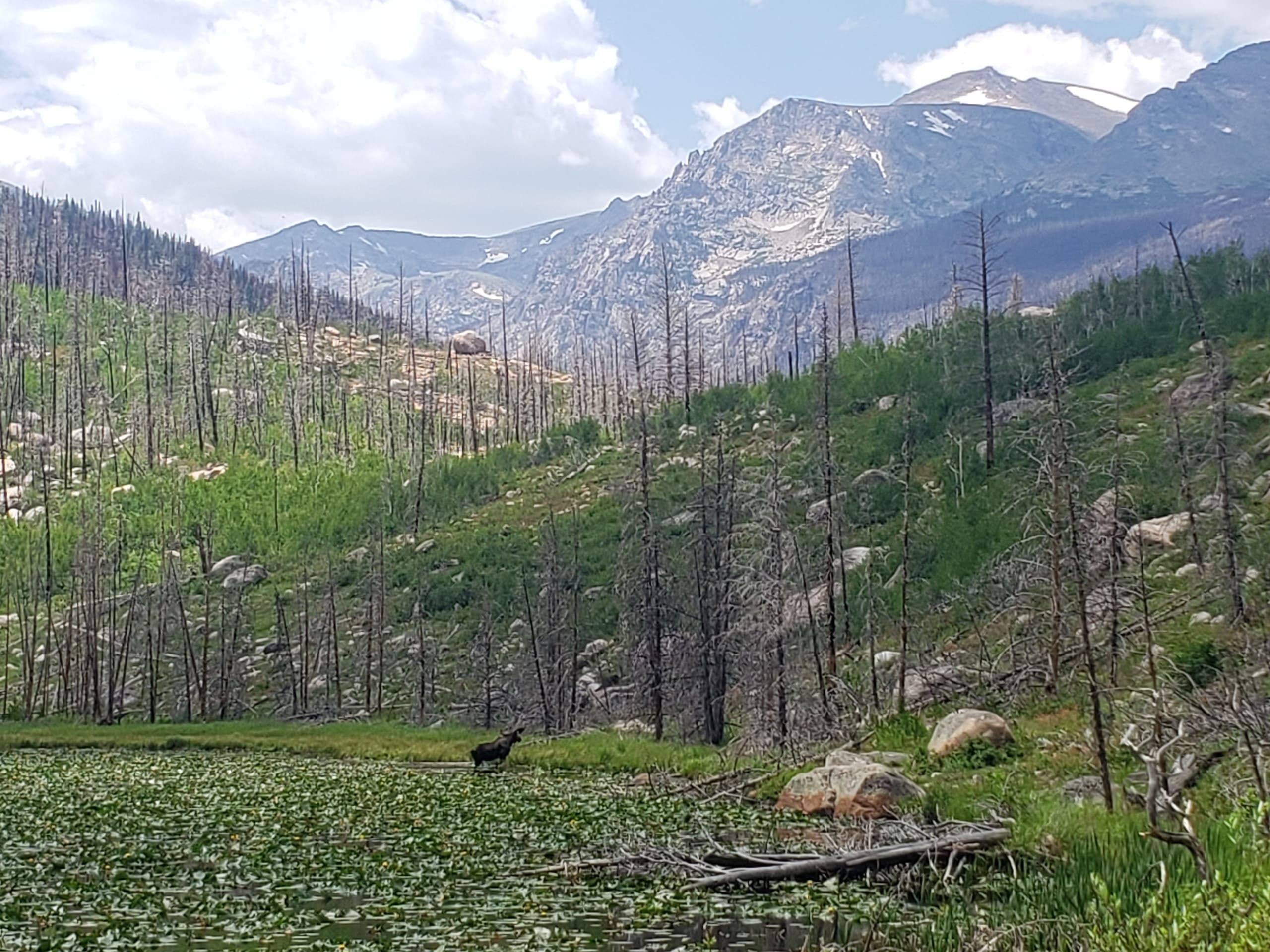 High alpine valley with lakes and burn-scarred trees, hiking