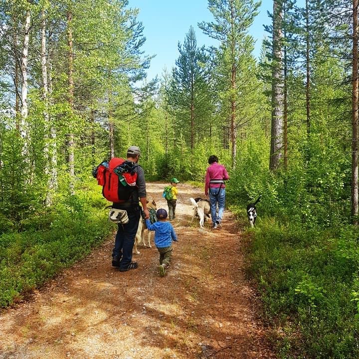 Winter Sports & Wildlife Nature at Wild Lapland: Husky Walk Adventure