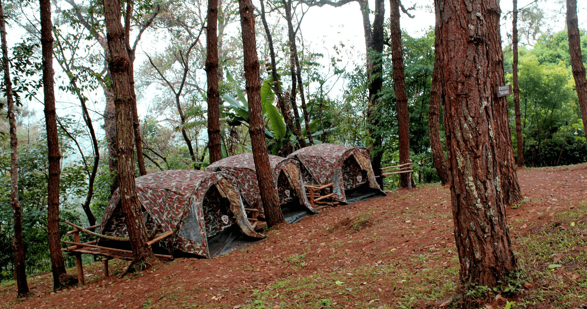 Primitive Camping at Camp Site #7 with Morgans Canoe