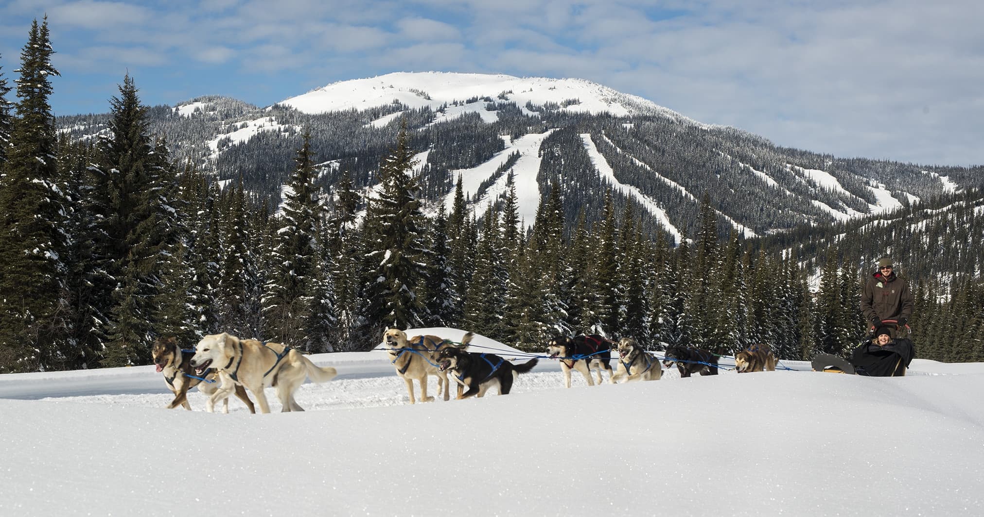 Mushers leading dog sled team across snowy mountain valley