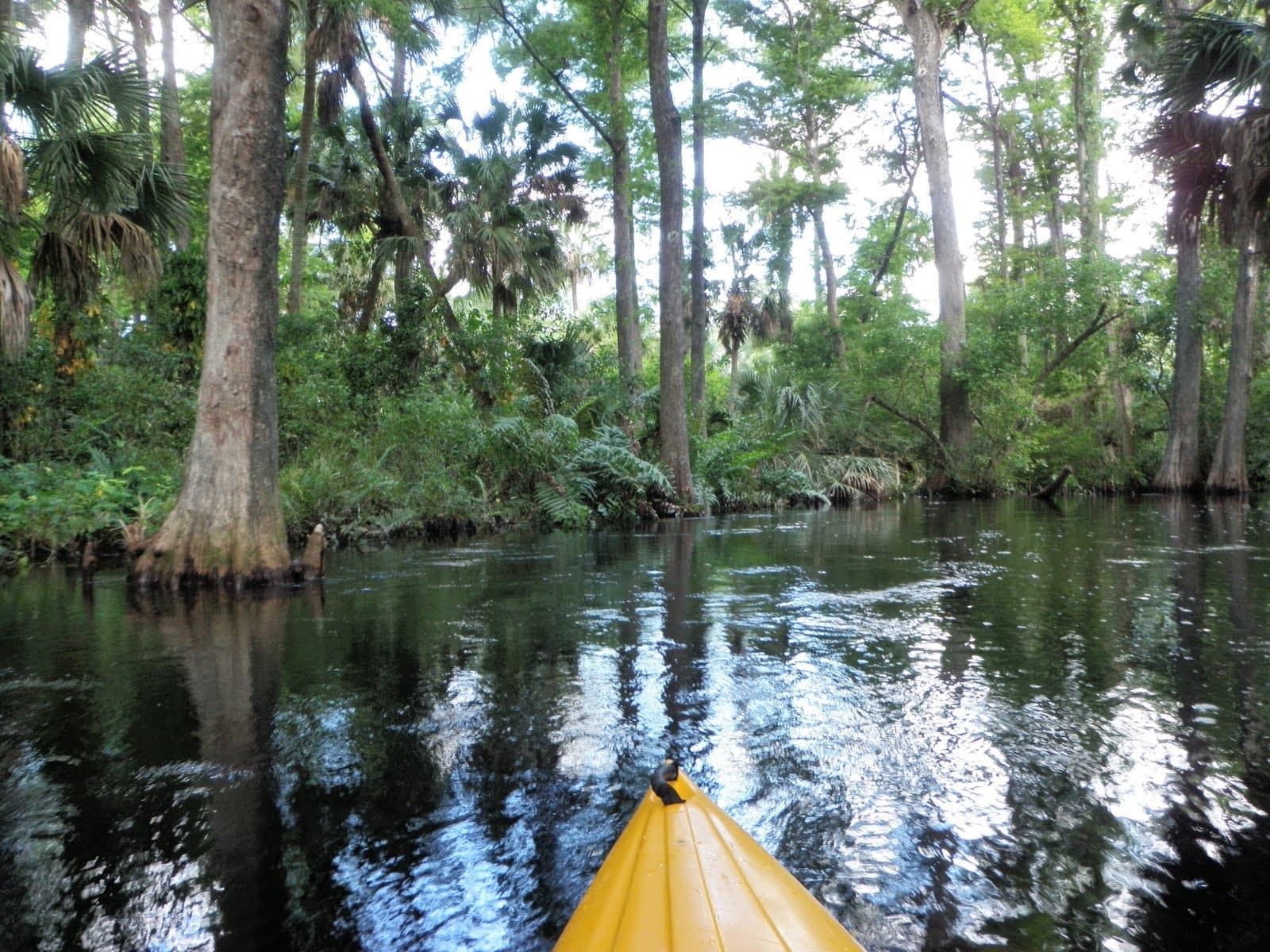 Pedal & Paddle Adventure at Riverbend Park, Jupiter FL