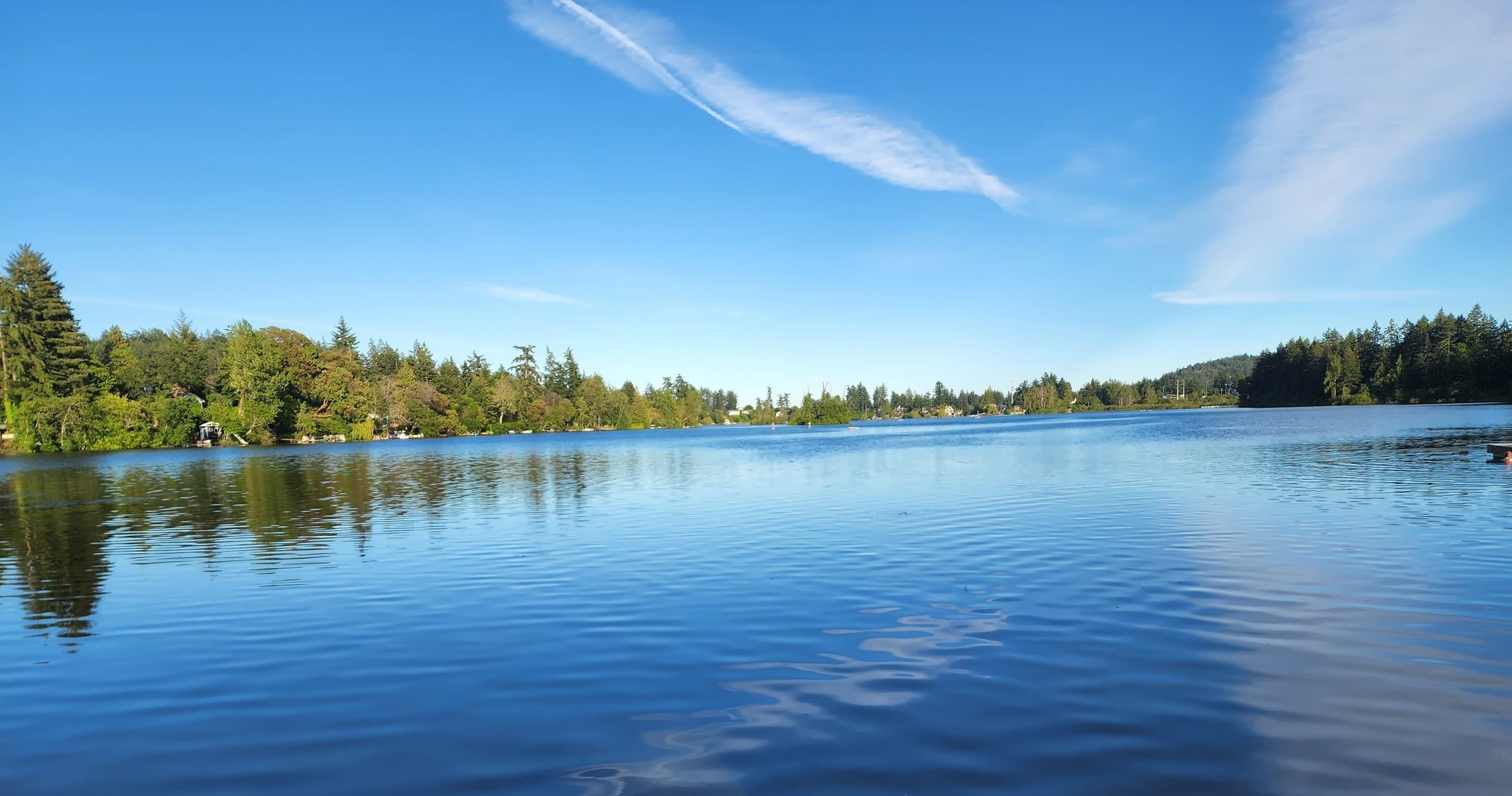 Stand-up paddleboarding on calm Langford lake, scenic shore